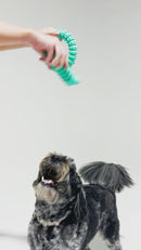 Dog happily playing with the Rubber Dental Dog Ring Toy on grass, illustrating its suitability for outdoor fun and exercise