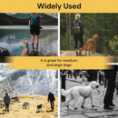 Dog Recall Training Leash - Black