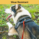 Dog Recall Training Leash - Black
