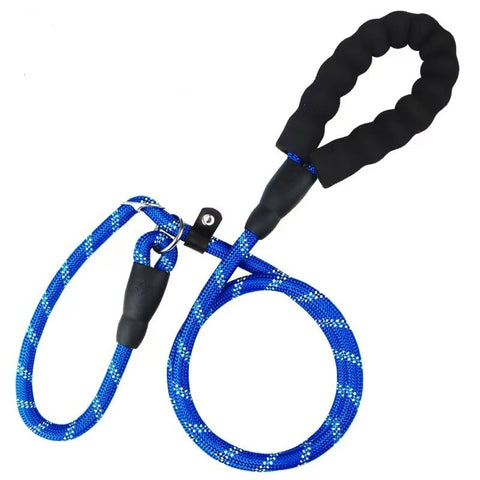 Blue Dog Training Leash