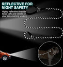 dog wearing reflective leash at night