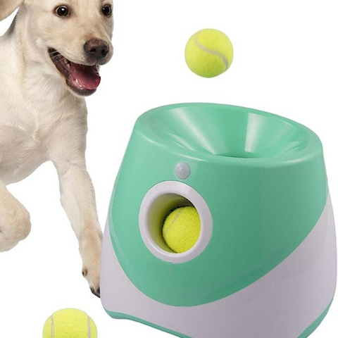 Automatic ball thrower for a dog hotsell