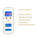 eDog Pet Training Mat remote