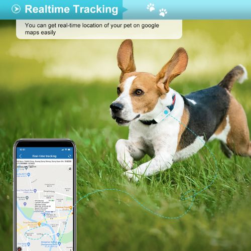 4G GPS DOG Tracker and Activity Monitor eDog Australia