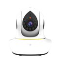 pet camera with laser pointer