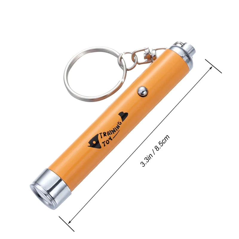 Interactive LED Pet Pointer Pen